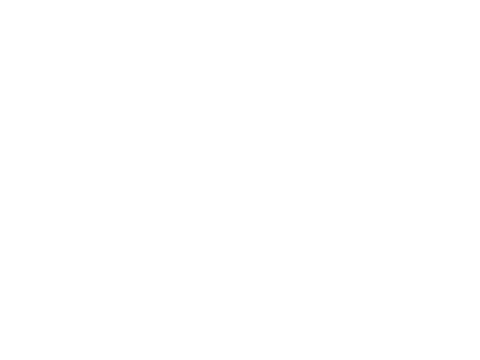3T